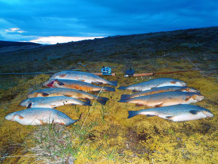 Dagsveiði á tvær stengur úr Veiðivötnum í sumar. Glæsileg veiði!