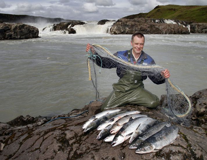 Einar Haraldsson bóndi á Urriðafossi stendur í stórræðum um þessar mundir við netaveiði í Þjórsá. Veiða má í fimmtíu daga á eitt hundrað daga tímabili. Laxinn er seldur í verslanir í Reykjavík og í dag fer reynslusending frá Urriðafossi til London.