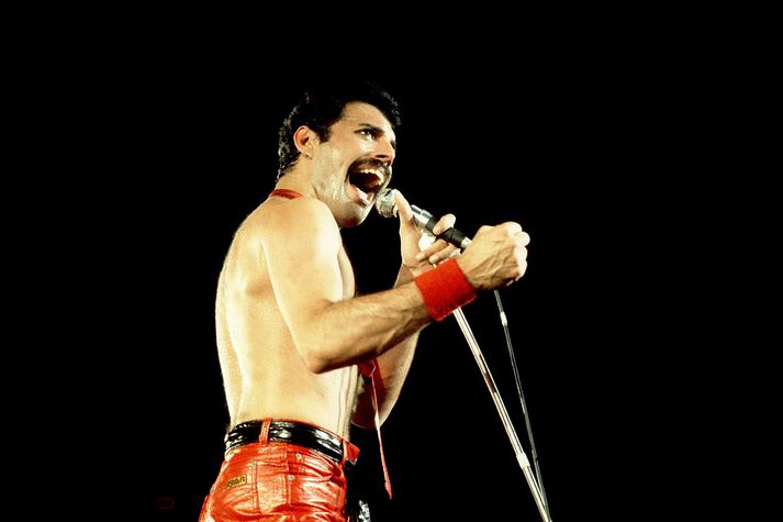 Breski tónlistarmaðurinn Freddie Mercury átti nokkuð litríka ævi.