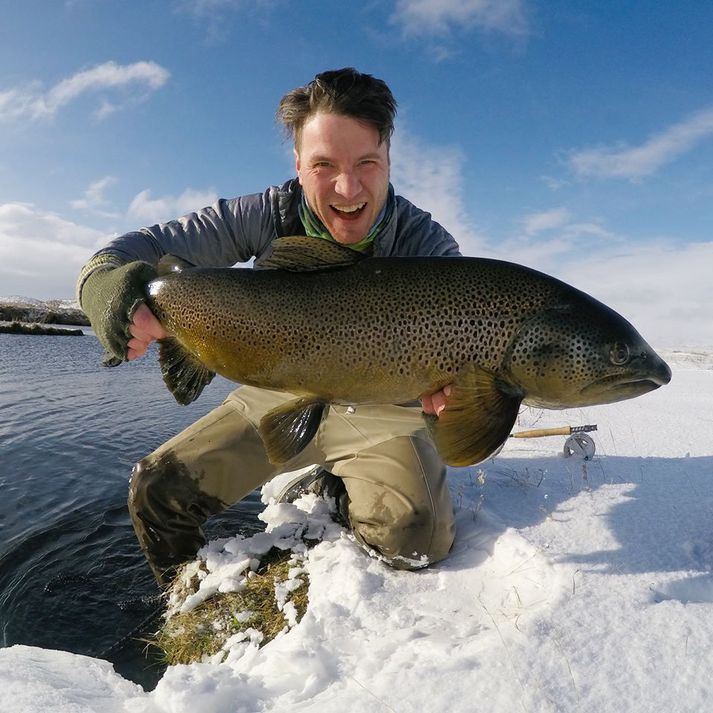 5.7 kg urriði úr Litluá í Keldum