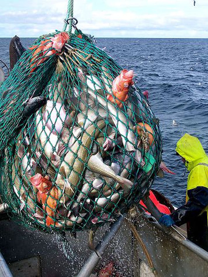 Fiskveiðar Norsk skattayfirvöld hafa flett ofan af stórfelldum efnahagsbrotum sjávarútvegsfyrirtækja þar í landi. Myndin er úr safni og tengist ekki efni fréttarinnar beint.Fréttablaðið/Jón Sigurður