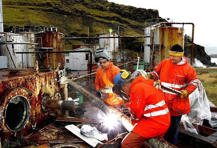 hvalstöðin Tíu til tólf manns hafa á undanförnum vikum unnið að endurbótum á lögnum og spilum í stöðinni. Stefnt er að því að ljúka framkvæmdum í næstu viku. Þá er stutt í að stöðin verði starfhæf að nýju.  