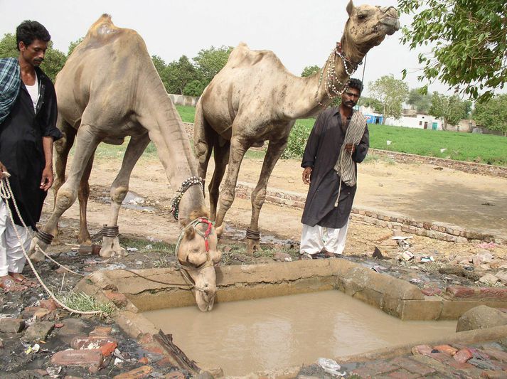 Ástandið í Pakistan er ekki gott og ekki hjálpar til að ramadan stendur nú yfir.