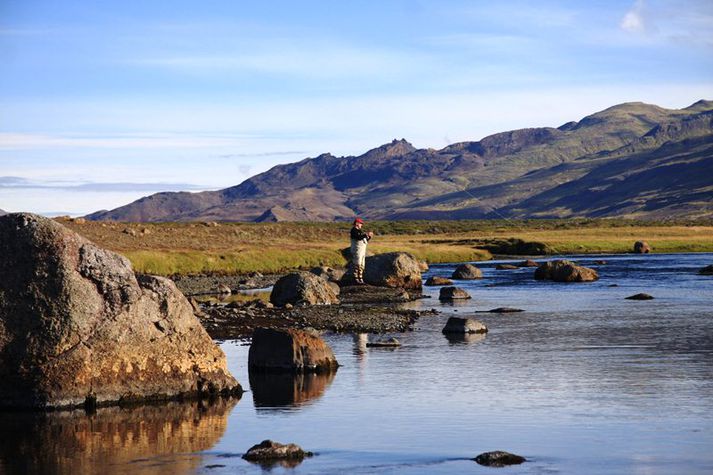 Hver áin af annarri opnar með látum. Hítará er full af laxi.