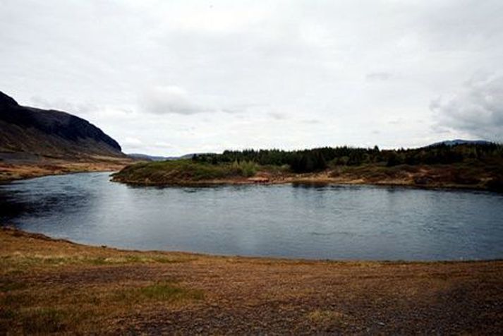 Alvirða í Soginu er að fara í útboð.