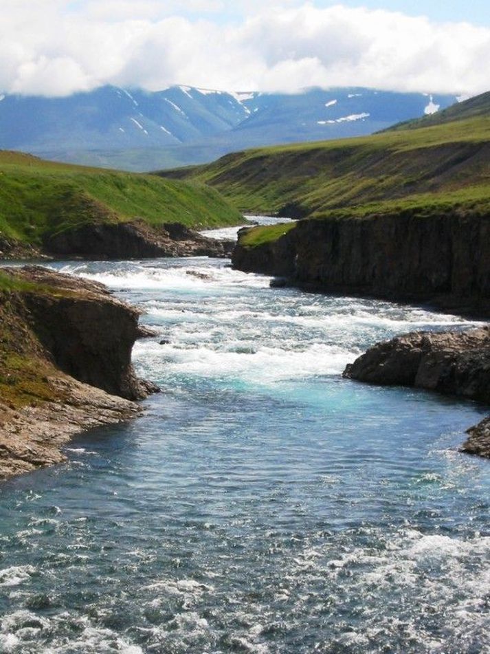 Meðalþyngdin í Fnjóská er 12 pund það sem af er sumri.