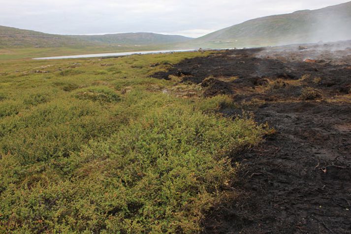 Ekki eru lengur seld veiðileyfi í vötnunum tveimur vegna brunans sem varð í Laugardal í fyrra.