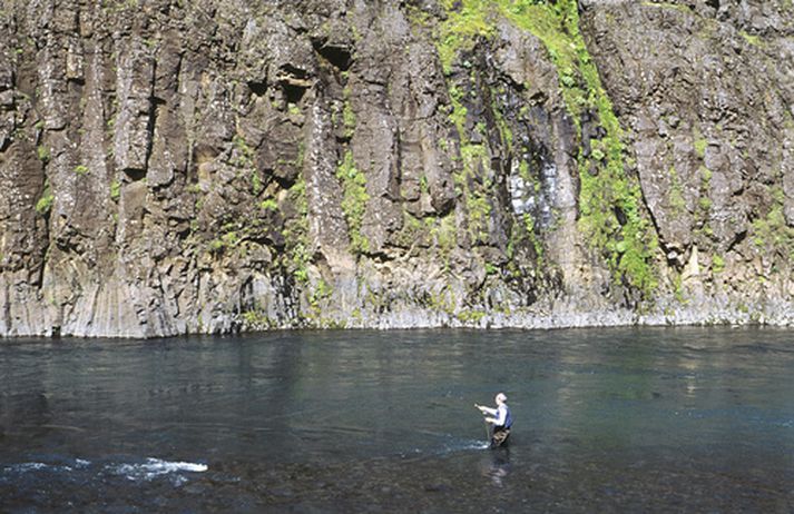 Bláhylur við Stóru Laxá í Hreppum