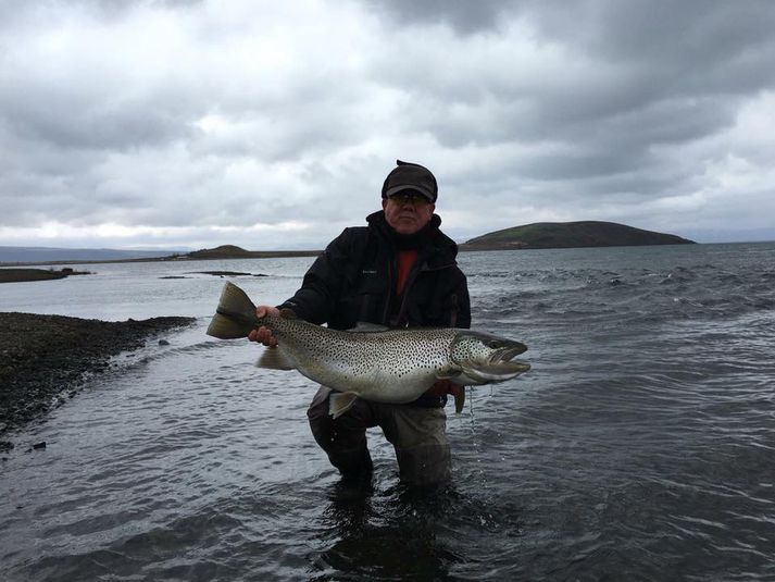 Stóri urriðinn af ION svæðinu