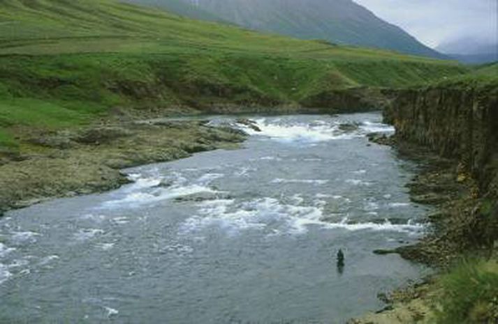 Frá Fnjóská. Ríflega þúsund laxar veiddust þar fyrir tveimur árum en rúmlega 400 í fyrra.