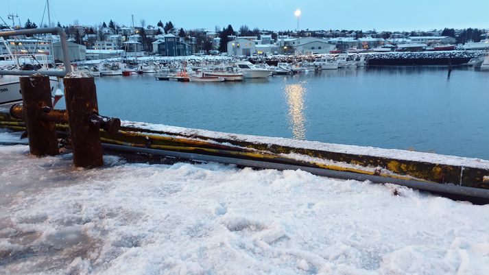 Gínan losnaði af taumi og virðista hafa flotið um höfnina án þess að hægt var að ná til hennar.