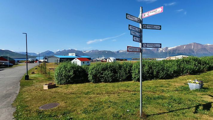 Lögrega naut aðstoðar sérsveitar í verkefni í Hrísey á fimmtudaginn. 