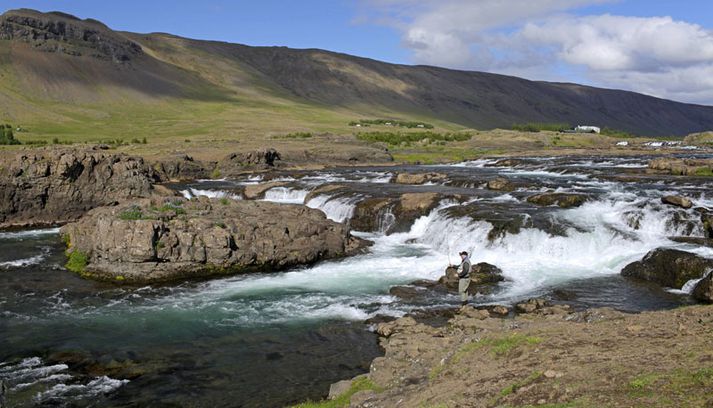 Laxá í Kjós opnaði í gær