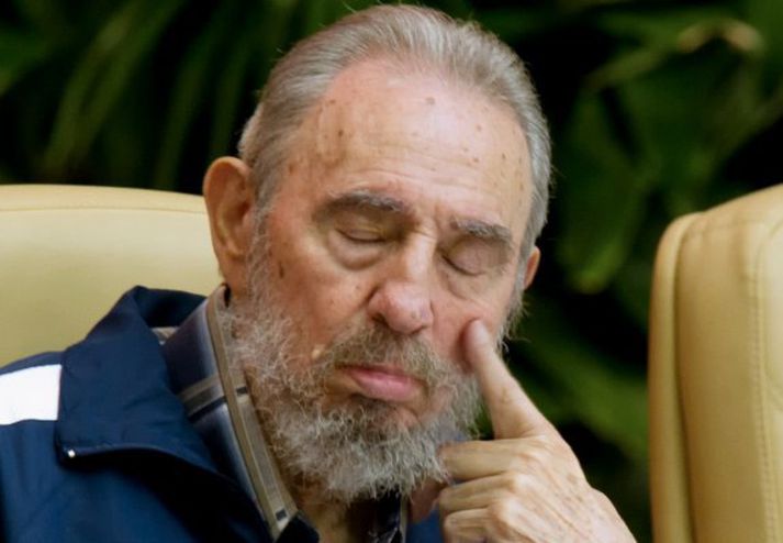 Fidel Castro dottar. Myndin var tekin á fundinum 19. apríl á þessu ári.