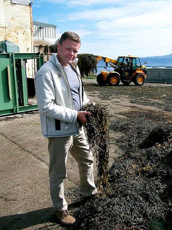 Framkvæmdastjórinn við þangið Halldór Óskar Sigurðsson skoðar þangið sem komið hefur verið með að landi. Sjálfur setur hann þang í mat sinn í stað salts líkt og fleiri sveitungar.