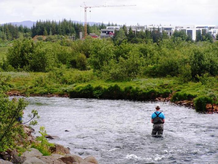 Höfuðhylur er einn þeirra veiðistaða í efri hluta Elliðaánna sem gaf lax í gær, en flugusvæðið kemur sterkt inn í veiðina í byrjun ágúst.