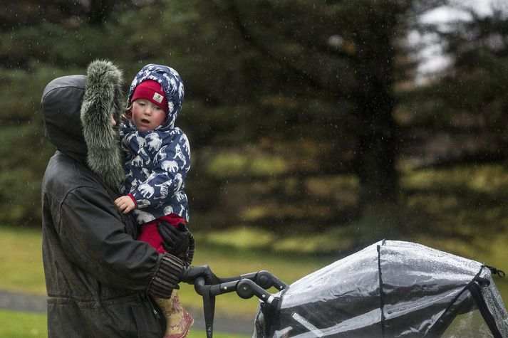 Hiti hefur náð sautján stigum á Skjaldaþingsstöðum það sem af er degi og er spáð áframhaldandi hlýindum út vikuna.