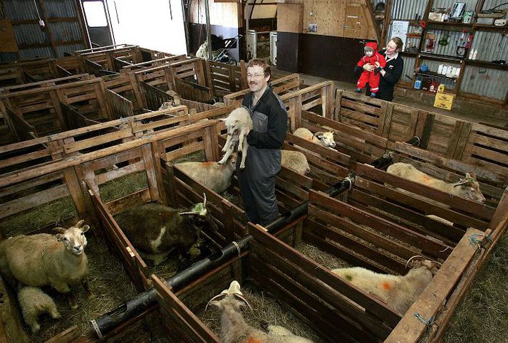 Jóhannes Sveinbjörnsson, bóndi í Heiðarbæ, er formaður Veiðifélags Þingvallavatns.