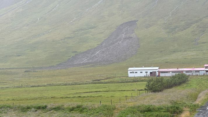 Skriður féllu víða vegna mikillar úrkomu síðustu daga. Þessi féll innarlega í Siglufirði, fyrir ofan Hesthúsveg.