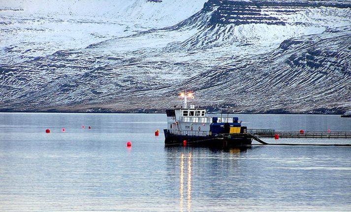 Mjóifjörður.