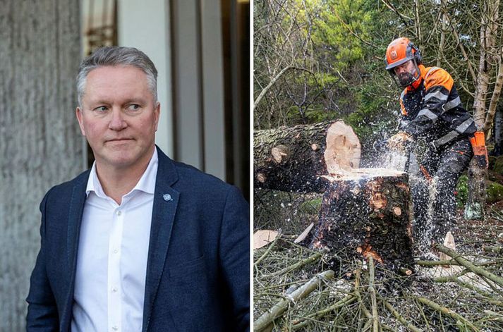 Njáll Trausti Friðbertsson, þingmaður Sjálfstæðisflokksins, er fyrsti flutningsmaður málsins.