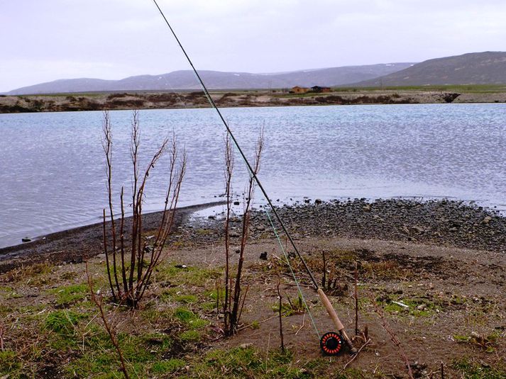 Bíldsfell í Soginu sem er eitt af mörgum góðum veiðisvæðum sem treysta á lax sem gengur Ölfusá og Hvítá.