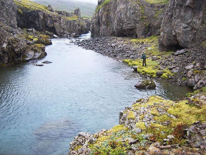 Náttúrufegurðin efst í Selá í Álftafirði er einstök.