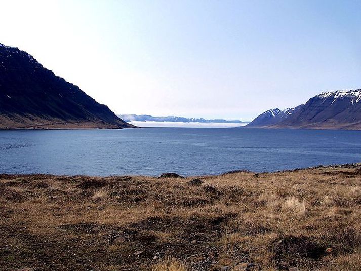 Stór áform eru uppi um laxeldi í sjókvíum í Arnarfirði. Vesturbyggð telur mat á umhverfisáhrifum óþarft.Fréttablaðið/Jón Sigurður