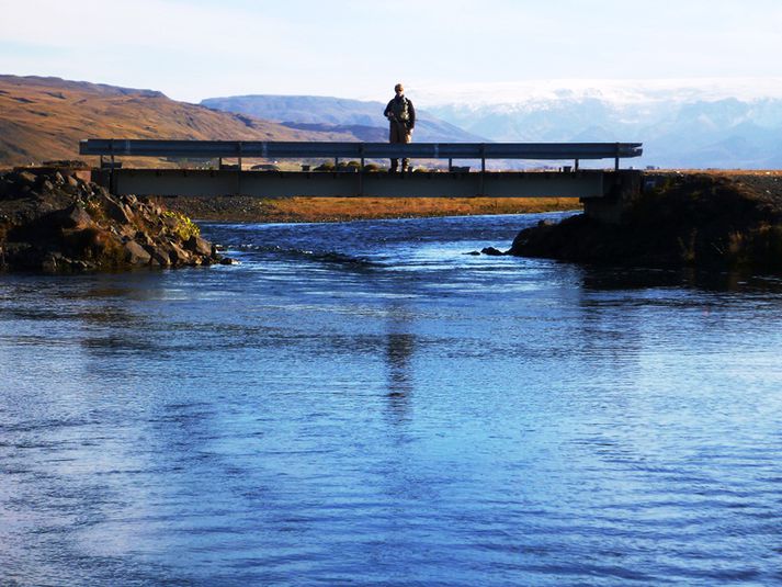 Laxar sem sýndu sig á þessum fallega veiðistað voru margir hverjir stórir. Hér veiddust 5 laxar á einum degi í vikunni.