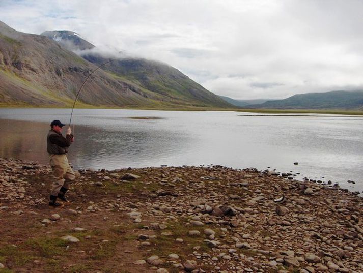 Bleikju landað í Fjarðará