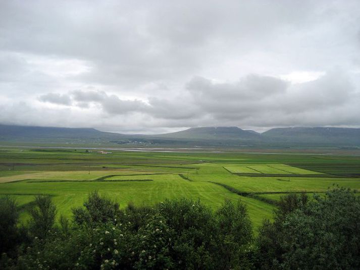 Hjá kúabændum í Skagafirði er nýbúið að slá. Þar var uppspretta lakari en verið hefur síðastliðin ár.