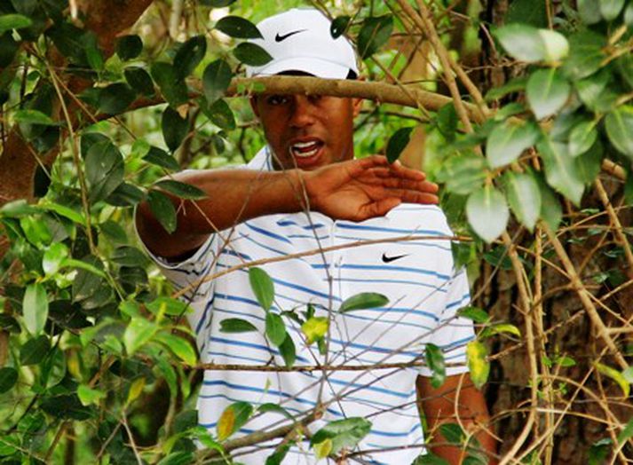 Tiger Woods lenti í tómu basli á annari brautinni í dag eins og sjá má á myndinni