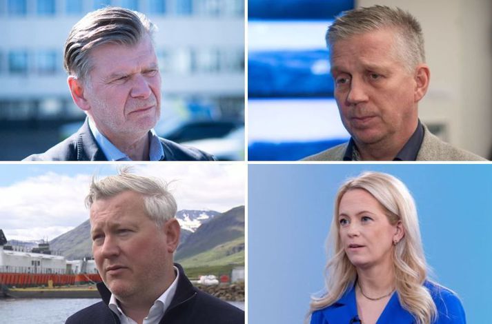 Grímur Grímsson, Víðir Reynisson, Jens garðar Helgason og Halla Hrund Logadóttir verða gestir í Pallborðinu á Vísi sem hefst klukkan 14.