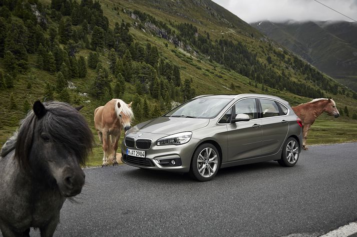 BMW 225i vakti bæði forvitni ökumanna og fjórfætlinga.