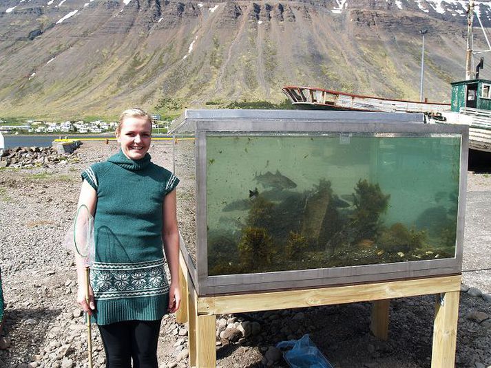 Lísbet er skráð sem skemmtikraftur í símaskránni en segir það hafa verið gert í gríni.