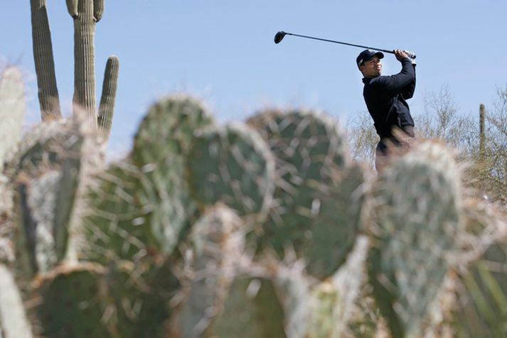 Tiger Woods hefur hrapað eins og steinn niður heimslistann á síðustu 12 mánuðum en hann er nú í fimmta sæti.