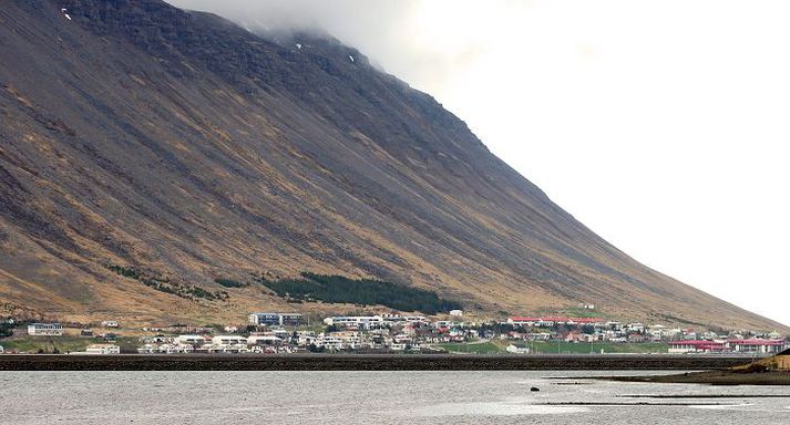 Almenningssamgöngur eru grundvöllur þess að hægt sé að stunda atvinnu segja íbúasamtök.