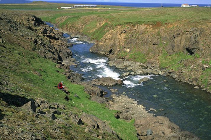 Hallá hefur aðeins gefið sextíu laxa í sumar enn sem komið er.