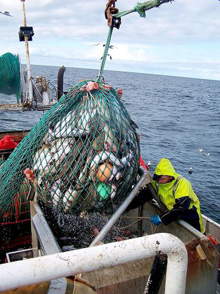 Góður afli
Aflaverðmæti íslenskra skipa er meira á fyrri hluta ársins en á sama tíma í fyrra.