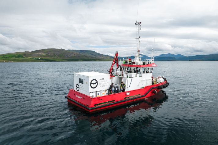 Sjávarrannsóknasetrið Röst vill fá leyfi til þess að veita basalausn út í Hvalfjörð í sumar til þess að rannsaka aðferð til þess að auka kolefnisupptöku sjávar.