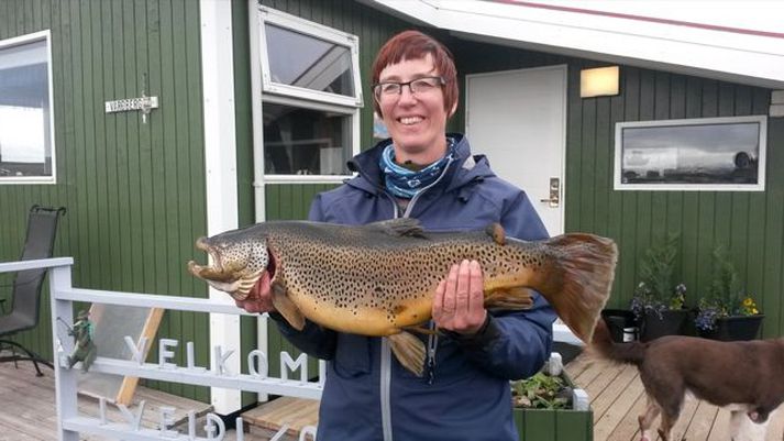 Þórunn með vænan urriða úr Skálavatni í Veiðivötnum