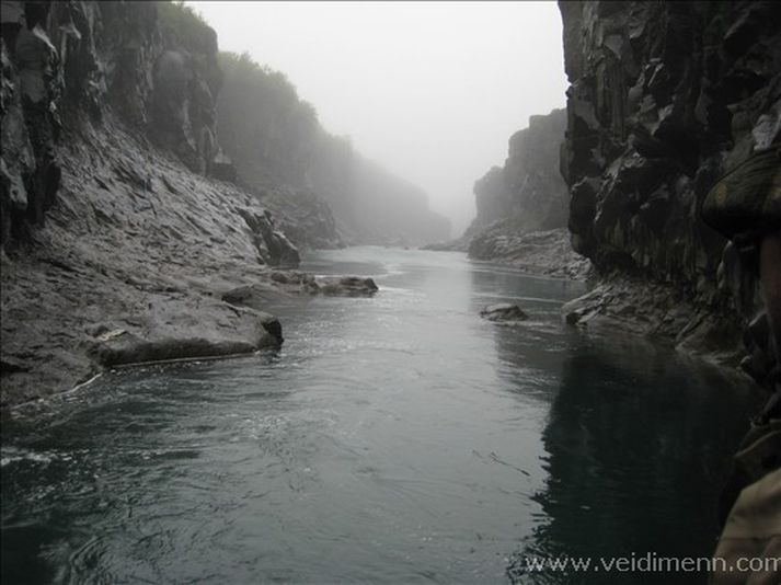 Hinn magnaði veiðistaður Steinbogi í Jöklu