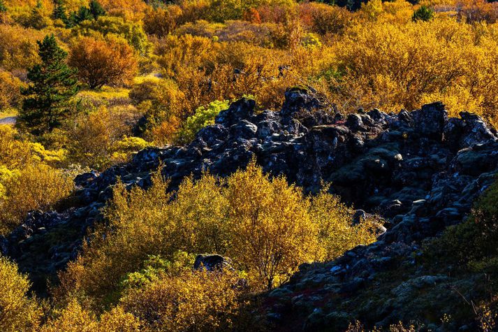 Hiti verður núll til níu stig að deginum í dag og verður mildast syðst.