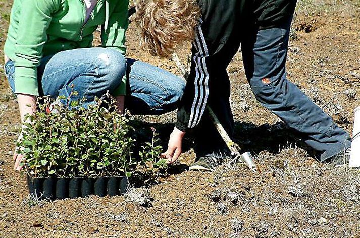 Fyrirtæki keppast við að kolefnisvæða bílaflota sinn. Allir bílar Stjórnarráðsins verða kolefnisjafnaðir frá og með næstu áramótum og nú hefur Garðabær bæst í hópinn.