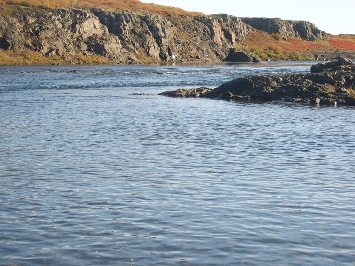 Langá er í rafrænni söluskrá fyrir forútlhutun 2013 sem komin er á vef Stangaveiðifélags Reykjavíkur.