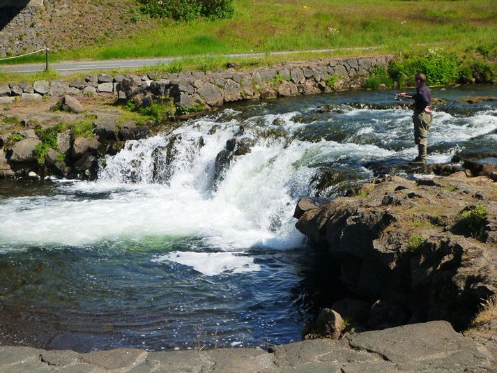 Úr Elliðaánum.