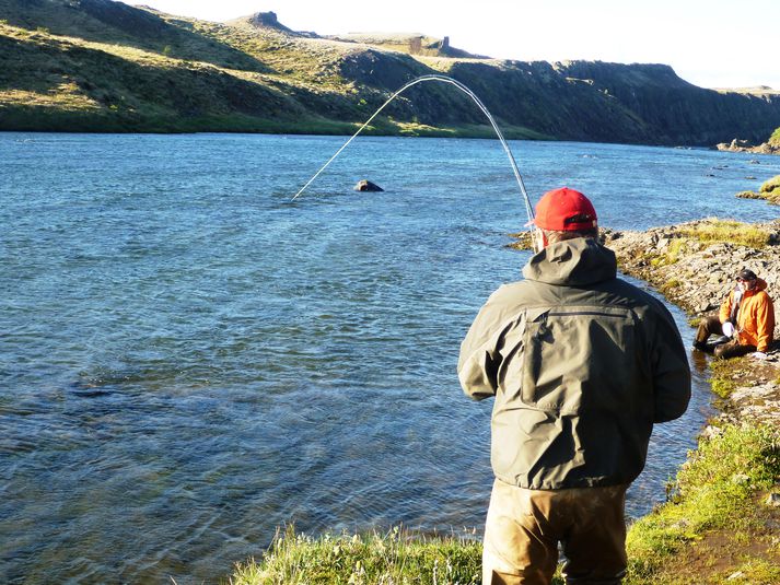 Bjarni Júlíusson, formaður SVFR, þreytir lax í Norðurá.