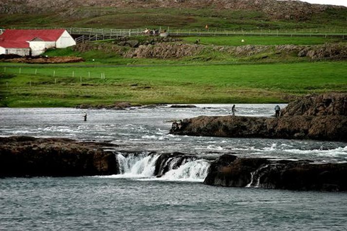 Í fyrra veiddust 1.934 laxar í Langá sem var aðeins minna en árið 2012 þegar 2.235 laxar veiddust í ánni.