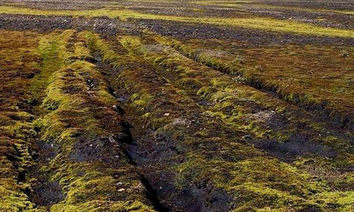 Utanvegaakstur getur auðveldlega sett ljót spor í viðkvæman svörð eins og hér á hálendinu.