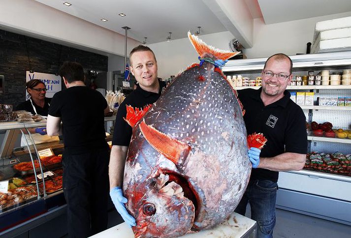 Það var fallegur fiskur sem þeir Kristján Berg og Gunnar Ásgeirsson í fiskbúðinni Fiskikónginum skáru niður í marineringu í gær. Viðskiptavinum verslunarinnar býðst biti af fiskinum í dag.